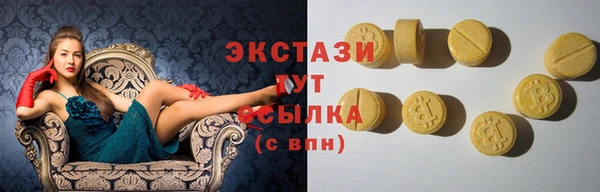 гидра Богданович