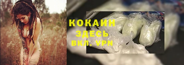 гидра Богданович
