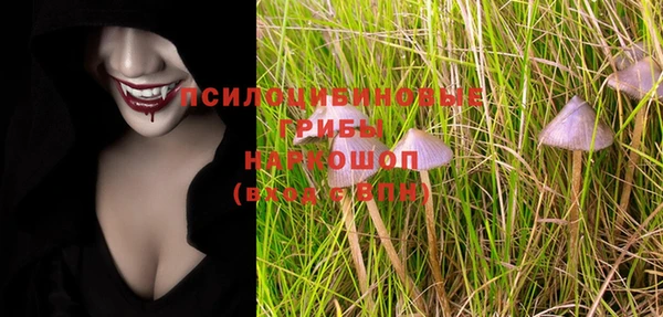 гидра Богданович