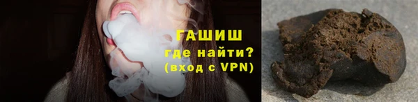 гидра Богданович