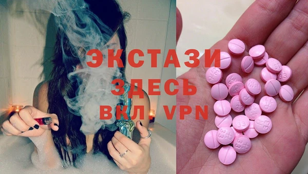 гидра Богданович