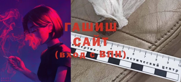 гидра Богданович