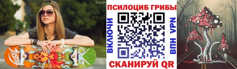 Псилоцибиновые грибы прущие грибы  цены   Гуково 